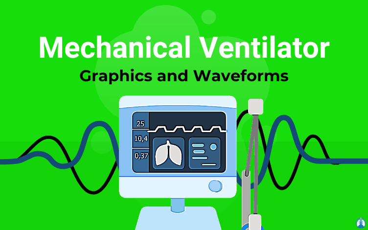 Mechanical Ventilator Waveforms and Graphics: Overview of the Basics