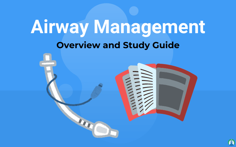 Airway Management And Procedures Overview And Study Guide