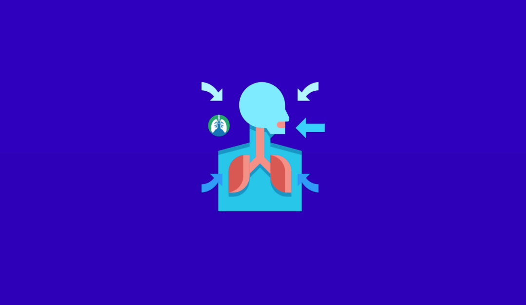 Ventilation vs. Oxygenation vs. Respiration (2023)