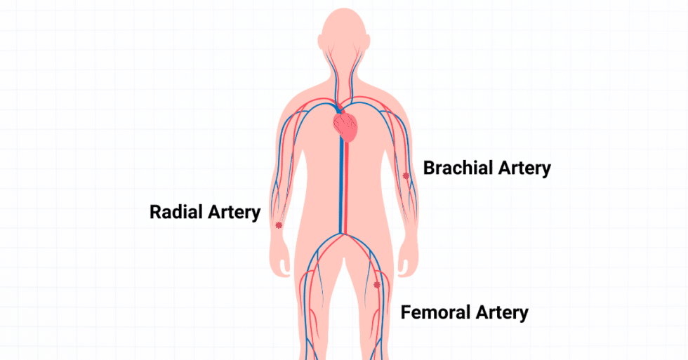 ABG Interpretation Made Easy Arterial Blood Gases (2024)