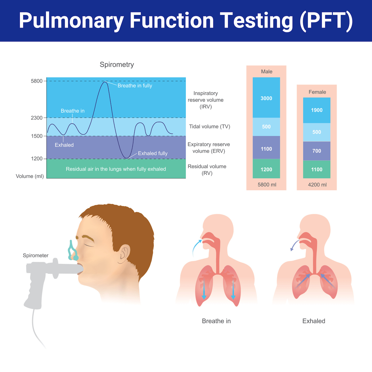 Pulmonary Function Testing Overview And Practice Questions