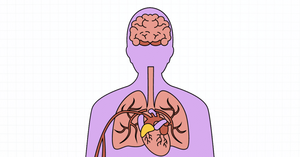 Respiratory Failure Caused by Guillain-Barre Syndrome (2025)