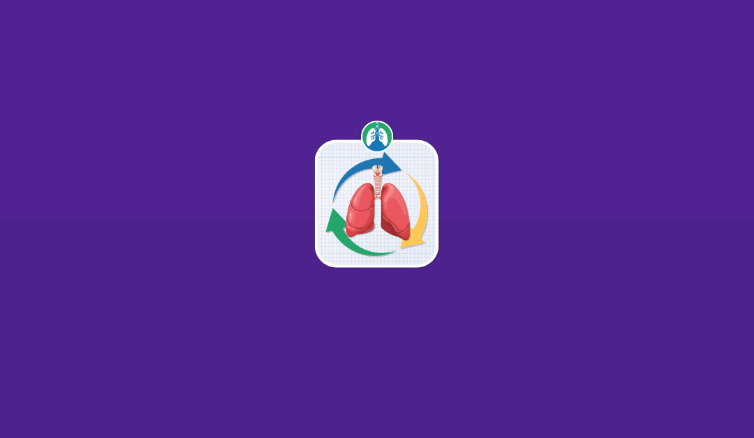 Fetal Lung Development: Overview and Practice Questions