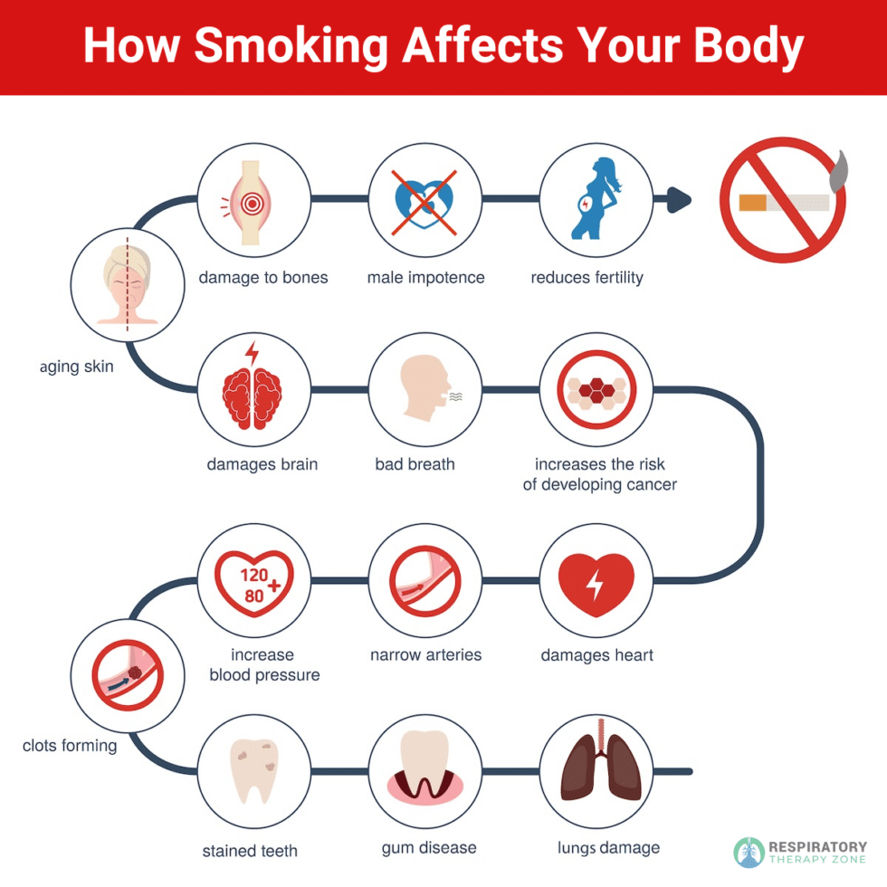 Effects of Quitting Smoking on Each Body System (2026)