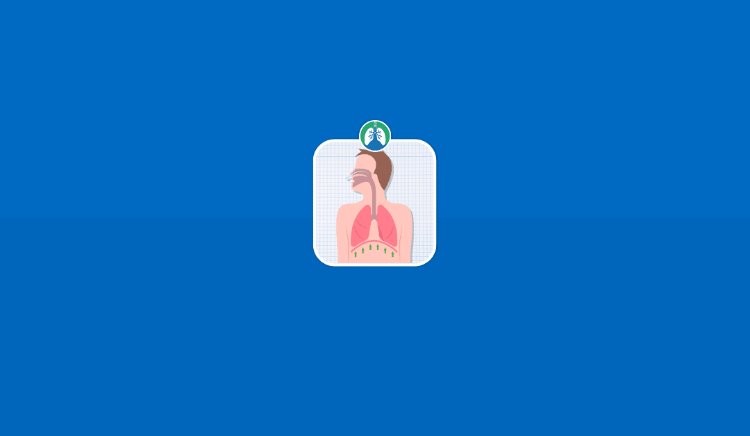 Respiratory System: Overview and Practice Questions (2025)