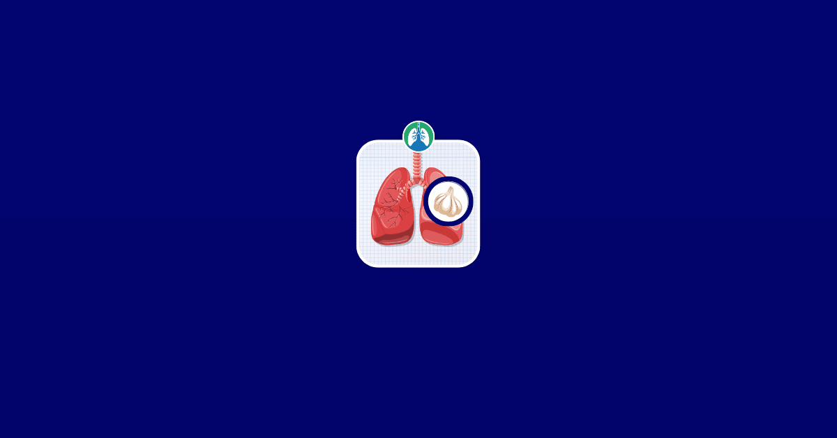 Is Garlic Good for Your Lungs Vector