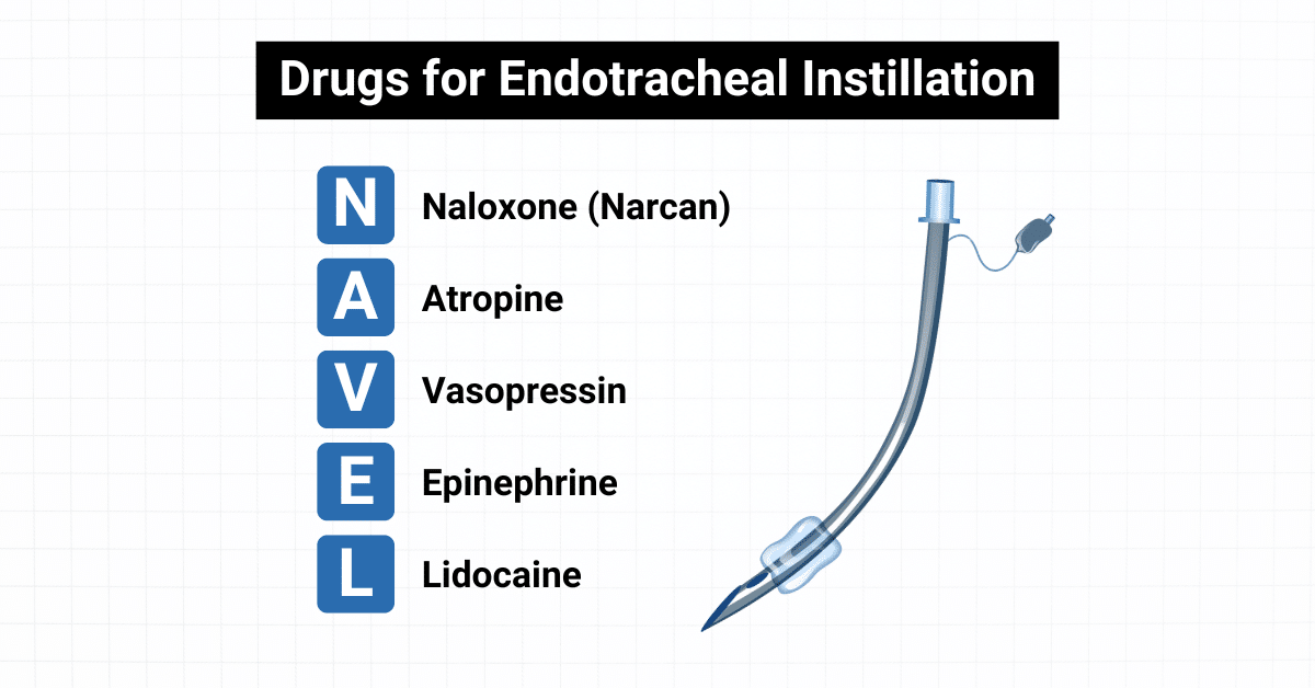 NAVEL mnemonic Drugs for Endotracheal Instillation Labeled Illustration