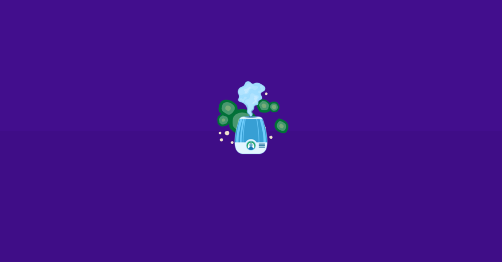 Can a Humidifier Cause Mold? Explained (2025)
