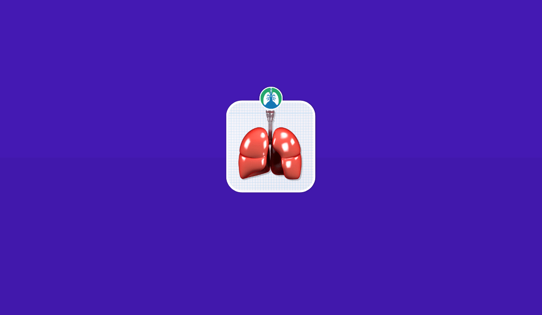 Are the Lungs Hollow? (2025)
