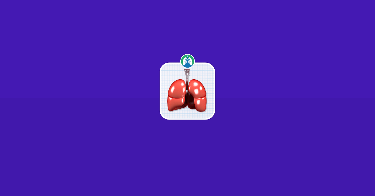 Are the Lungs Hollow Vector