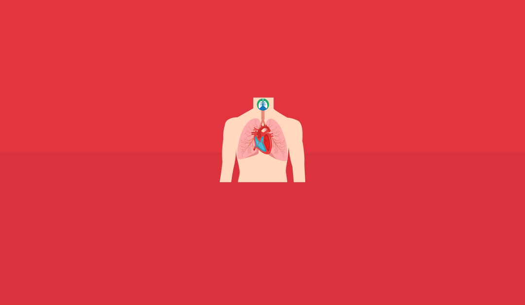 Cardiopulmonary Anatomy and Physiology: What is Cardio A&P?