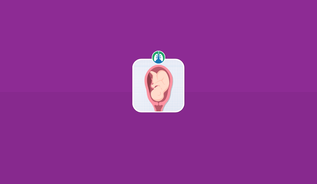Fetal Circulation: Overview and Practice Questions (2025)
