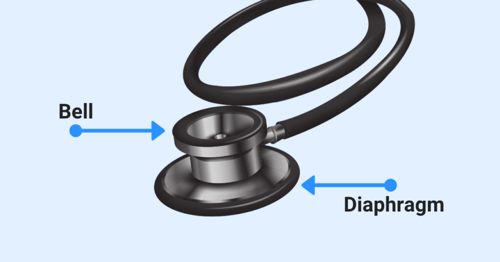 Stethoscope Bell vs. Diaphragm What's the Difference? (2023)