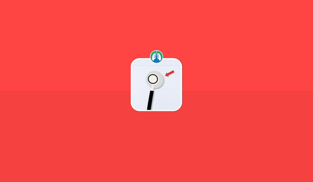 Stethoscope Bell vs. Diaphragm: What’s the Difference? (2025)