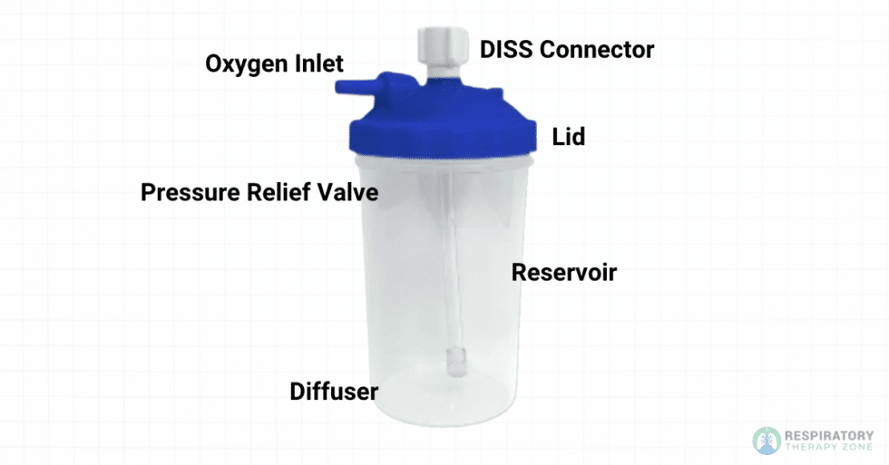 What is a Bubble Humidifier? (2024)