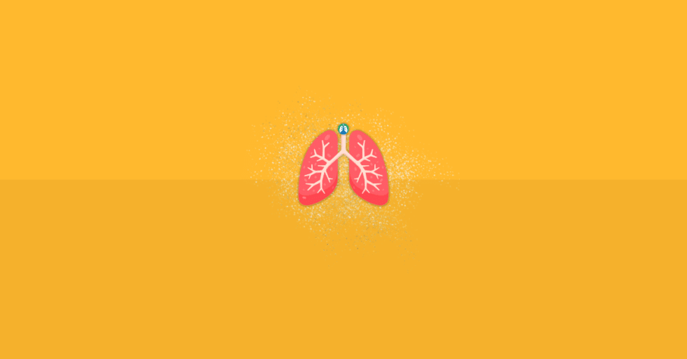13+ Ways to Clear Your Lungs After Inhaling Dust (2024)