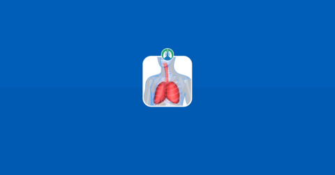 What is an Acute Exacerbation of COPD? (2024)
