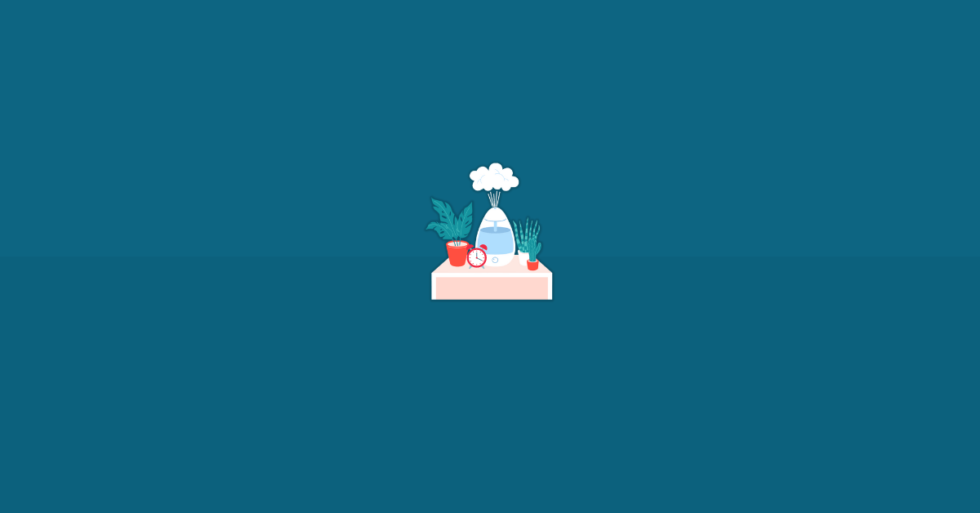 How Long Does it Take for a Humidifier to Work? (2024)