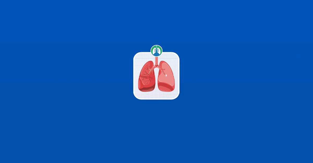 What is lung compliance vector