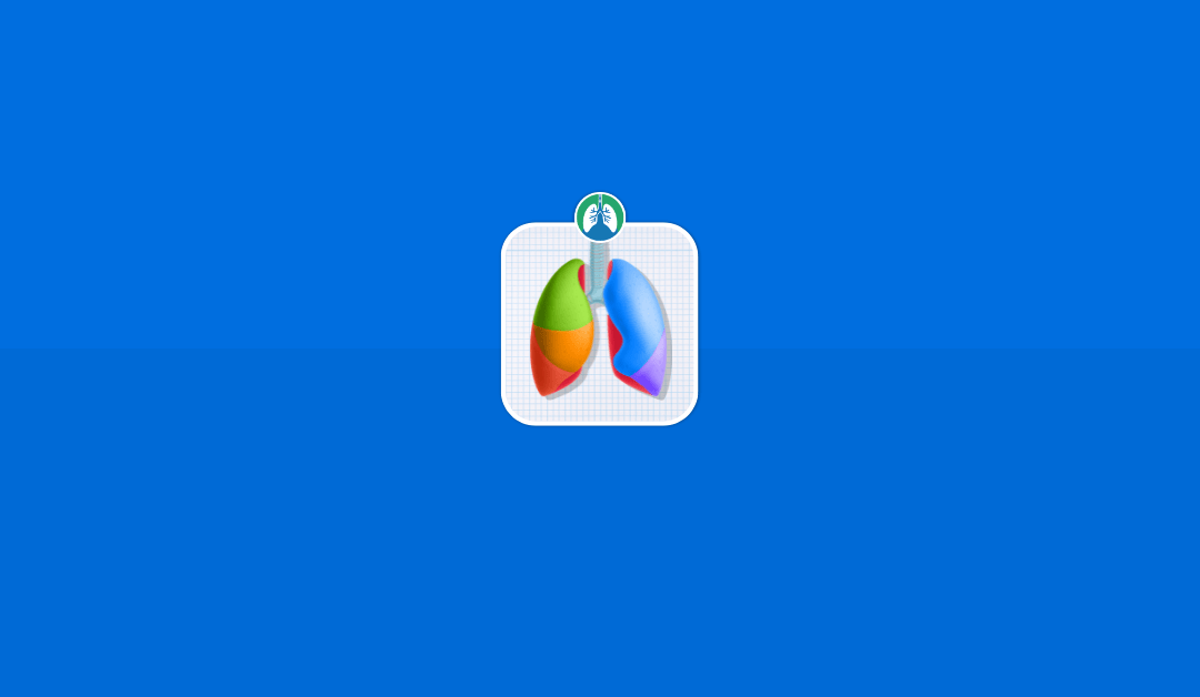 Lung Lobes and Fissures: An Overview (2025)