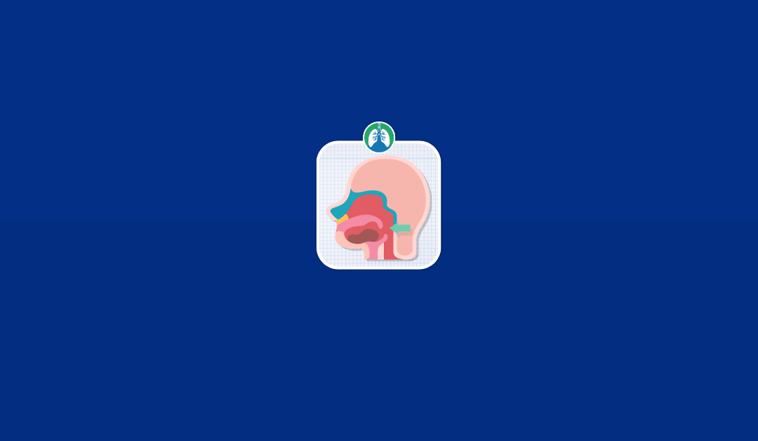 Pharynx: Overview and Practice Questions (2026)