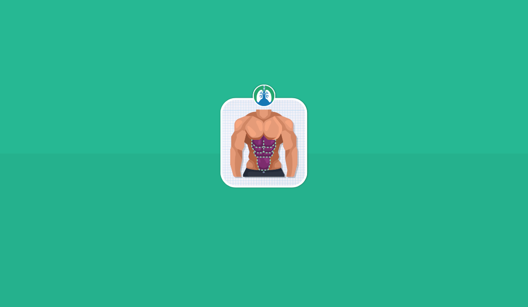 Does Coughing or Laughing Give You Abs? (2026)