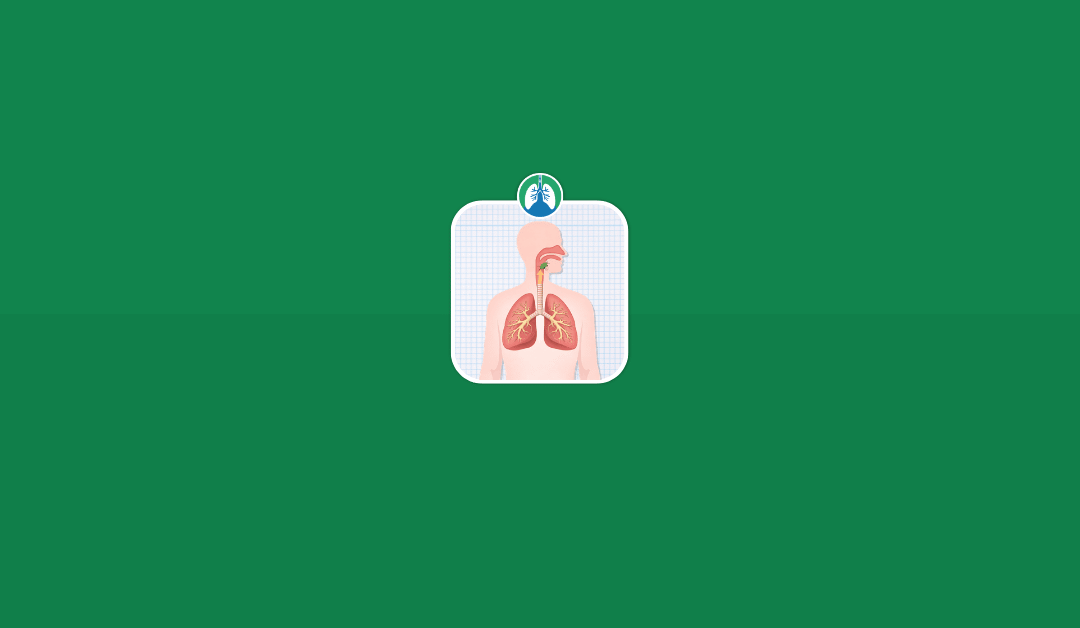 What Happens If You Inhale a Bug Into Your Lungs? (2026)