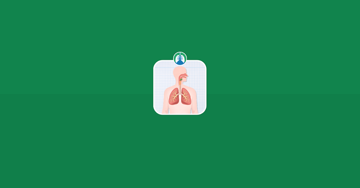 What Happens If You Inhale a Bug Into Your Lungs Vector Image