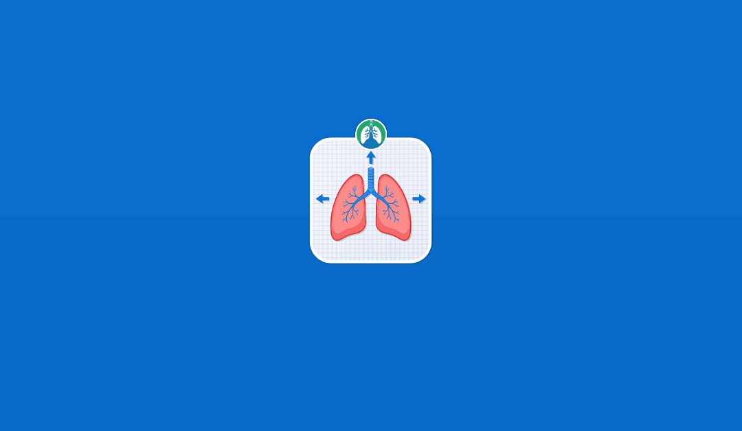 Physical Principles of Respiratory Care: Key Concepts