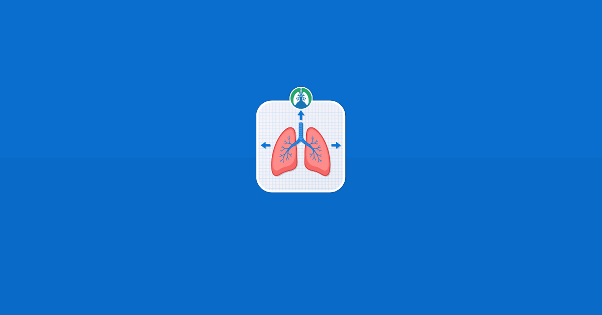 Physical Principles of Respiratory Care Illustration Vector Physical Principles of Respiratory Care Illustration Vector