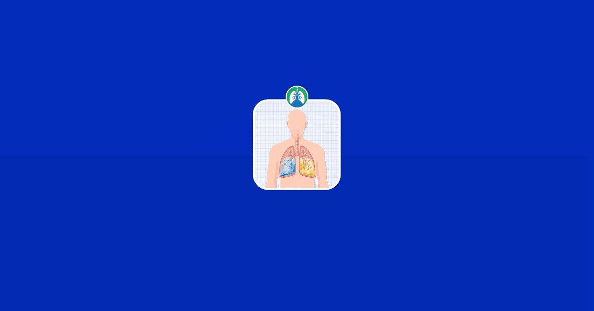 What Color Is Fluid From the Lungs Vector