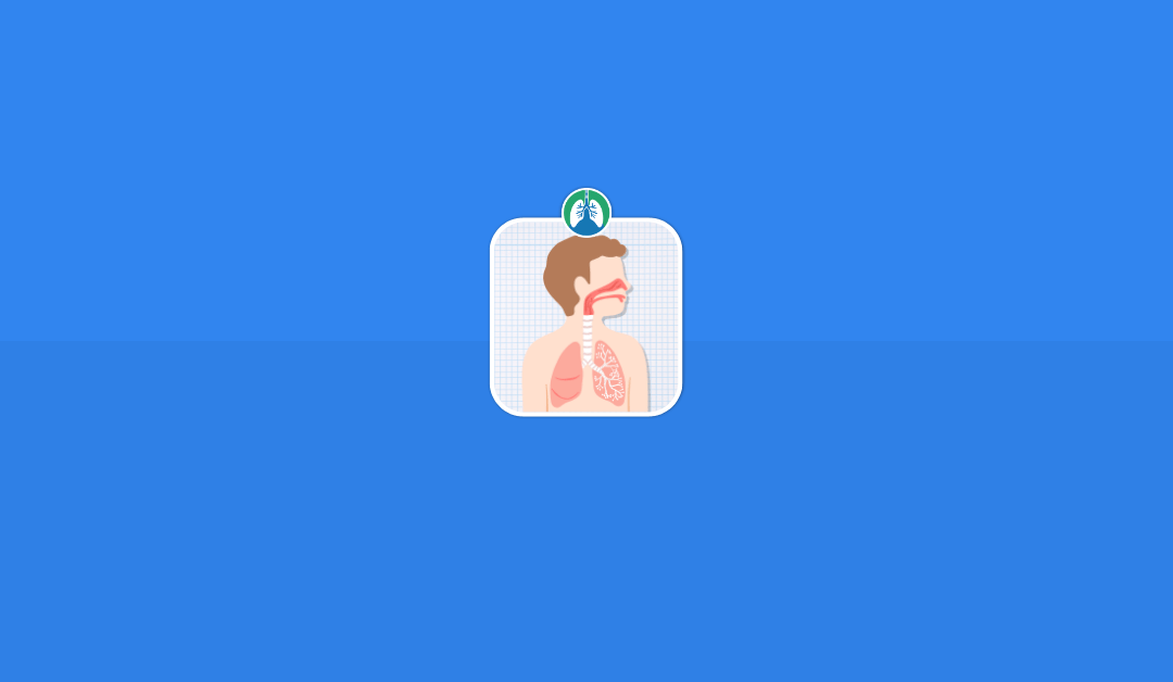 How the Lungs Work: An Overview (2025)
