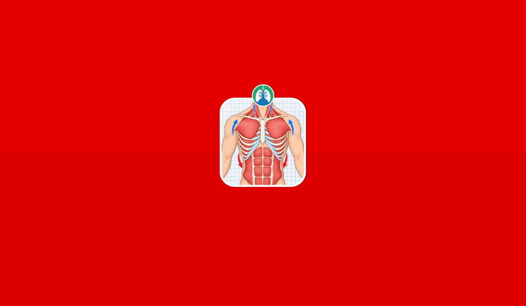 Accessory Muscles of Respiration: Clinical Assessment