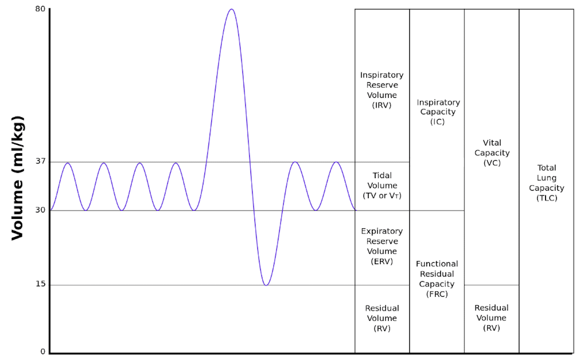Lung Box PFT TMC Exam Diagram Chart