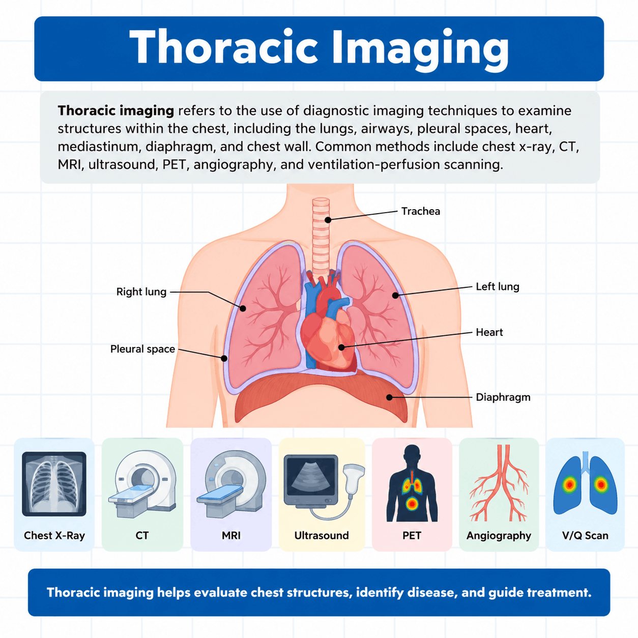 Thoracic Imaging: Key Findings in Respiratory Care