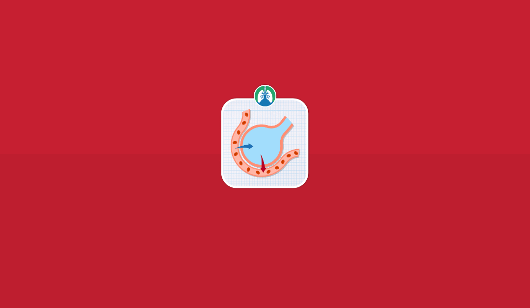 Alveolar-Capillary Membrane: Overview and Practice Questions