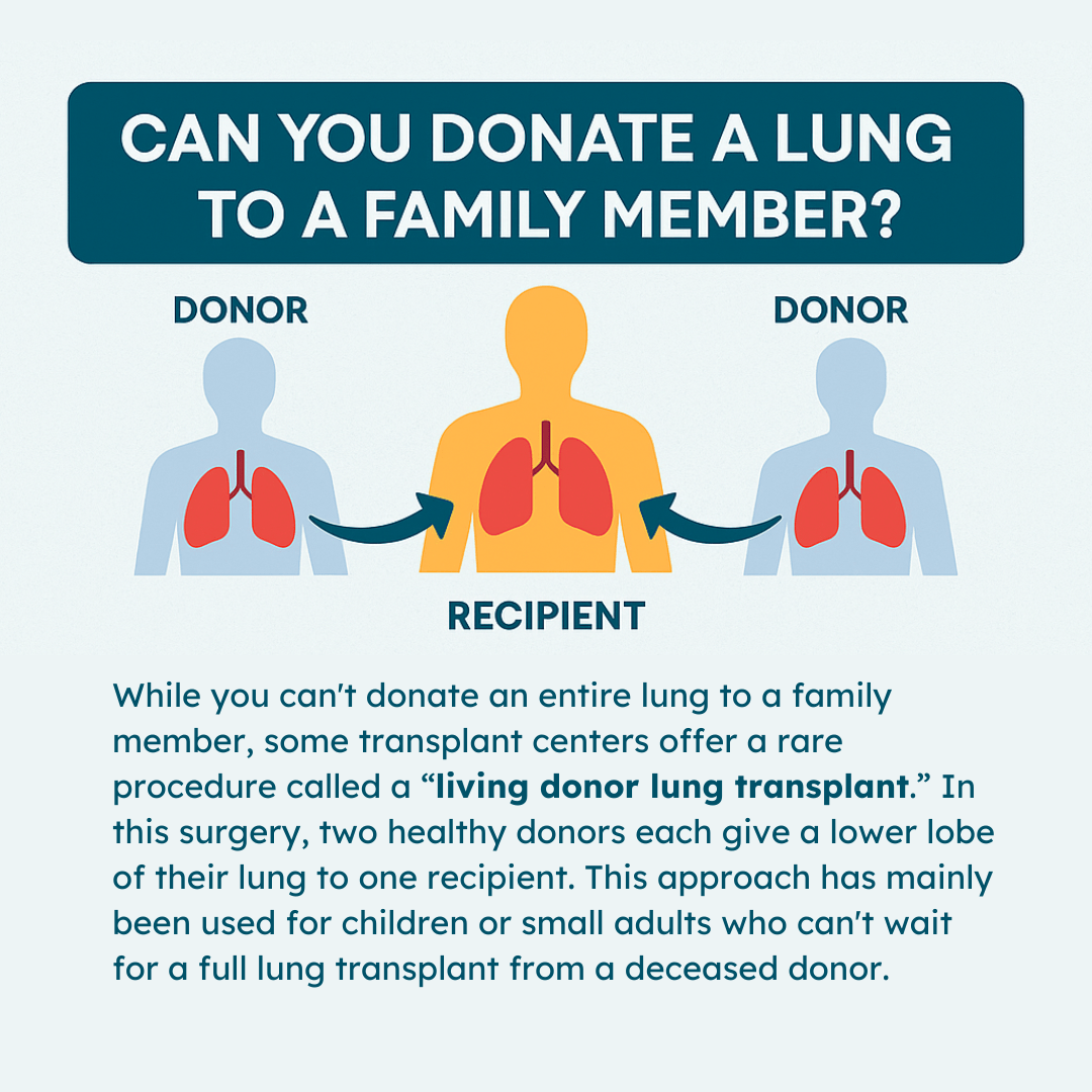 Can You Donate a Lung to a Family Member Illustration Infographic