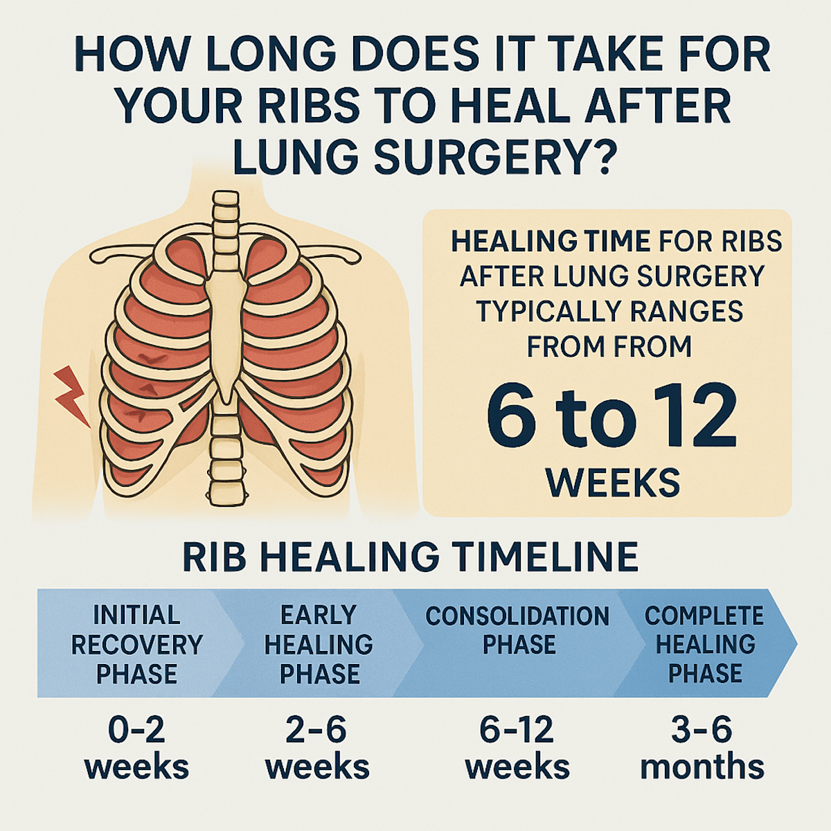 How Long for Your Ribs to Heal After Lung Surgery Illustration Infographic