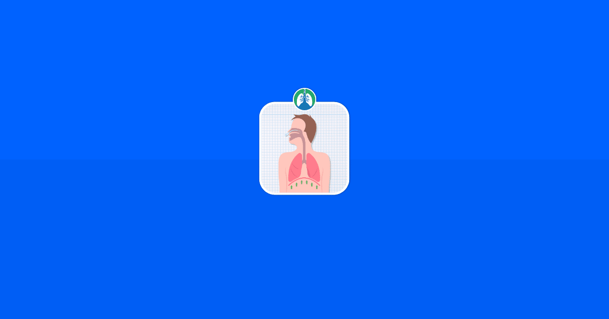 Diaphragm Overview