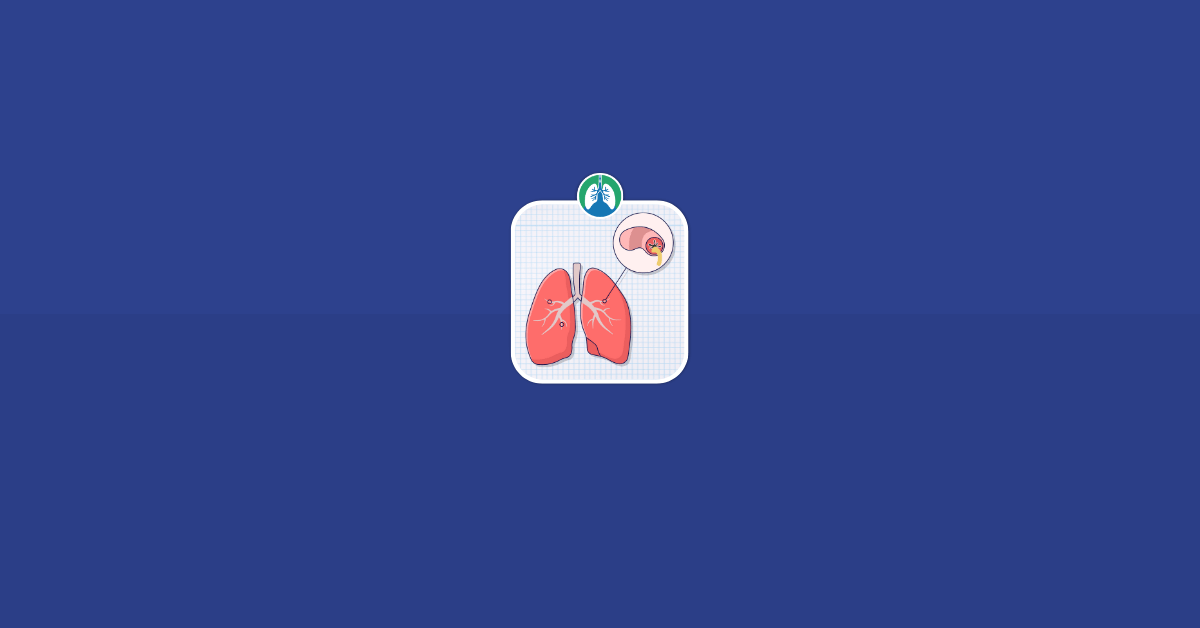 Emphysema vs. Chronic Bronchitis Vector Emphysema vs. Chronic Bronchitis Vector
