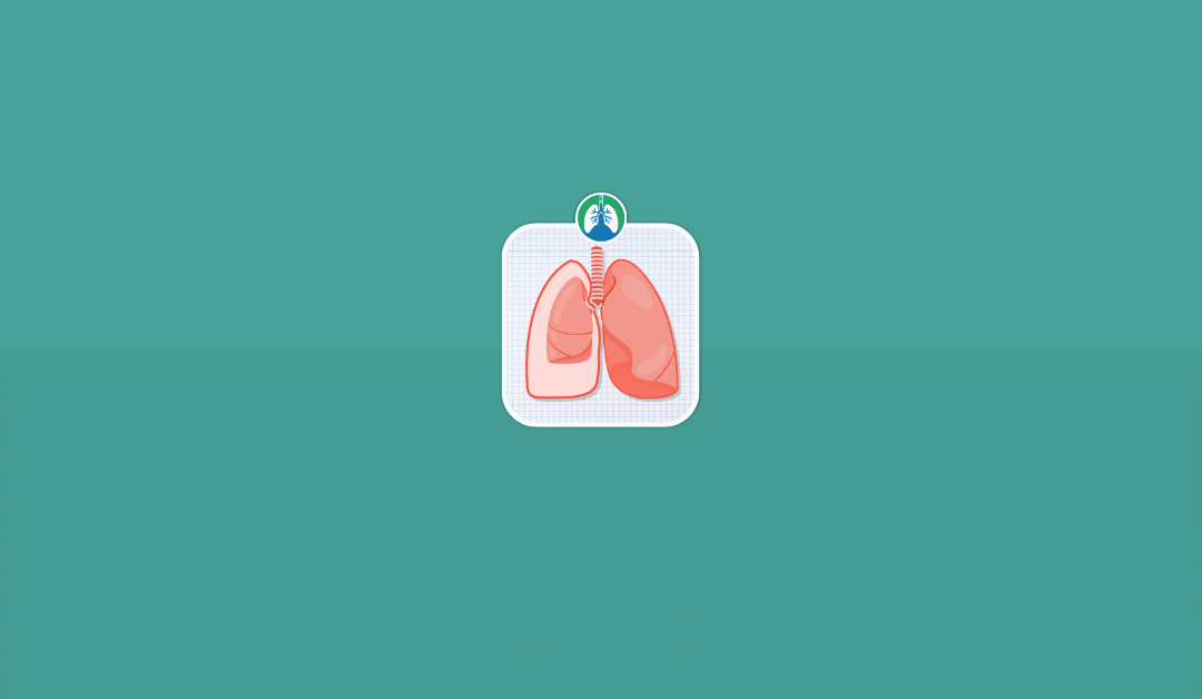 How to Fix a Collapsed Lung (Pneumothorax) at Home? (2025)