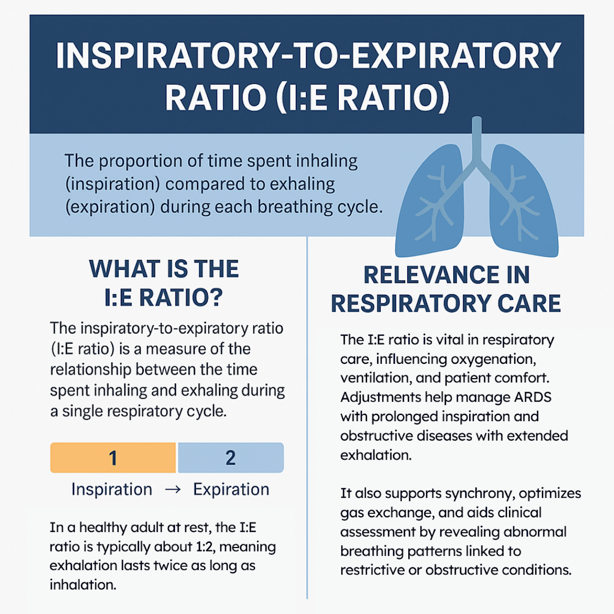 Inspiratory-to-Expiratory Ratio (I-E Ratio) Illustration Infographic