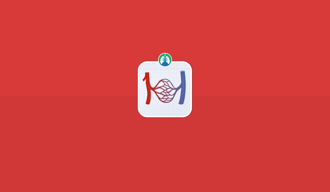 Capillaries: Overview and Practice Questions (2025)
