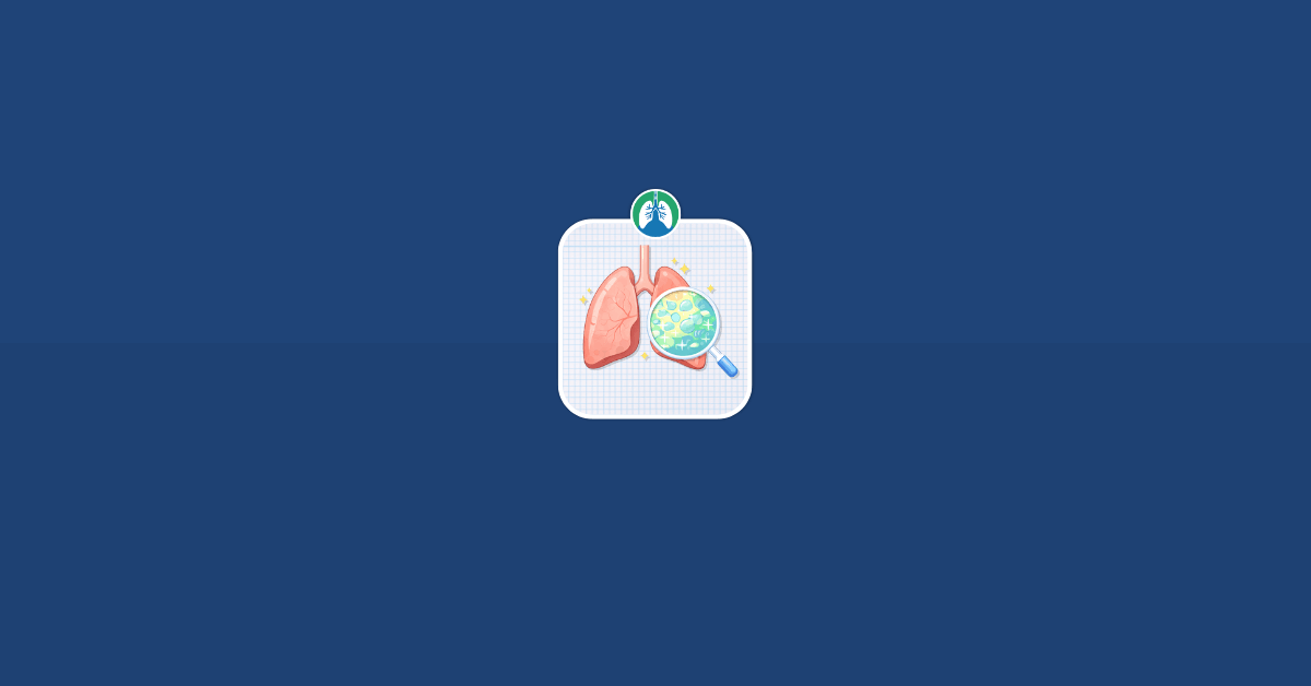 Can the Lungs Repair Themselves Vector