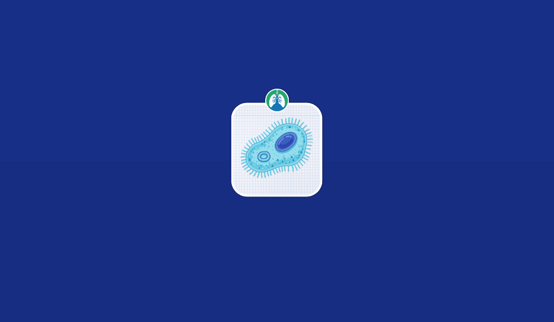 Cilia Function and Clinical Significance in Respiratory Care