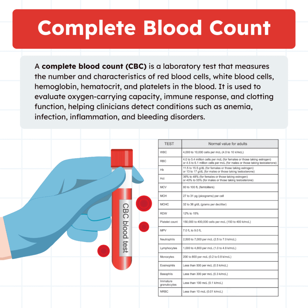 Complete Blood Count (CBC): Overview and Practice Questions