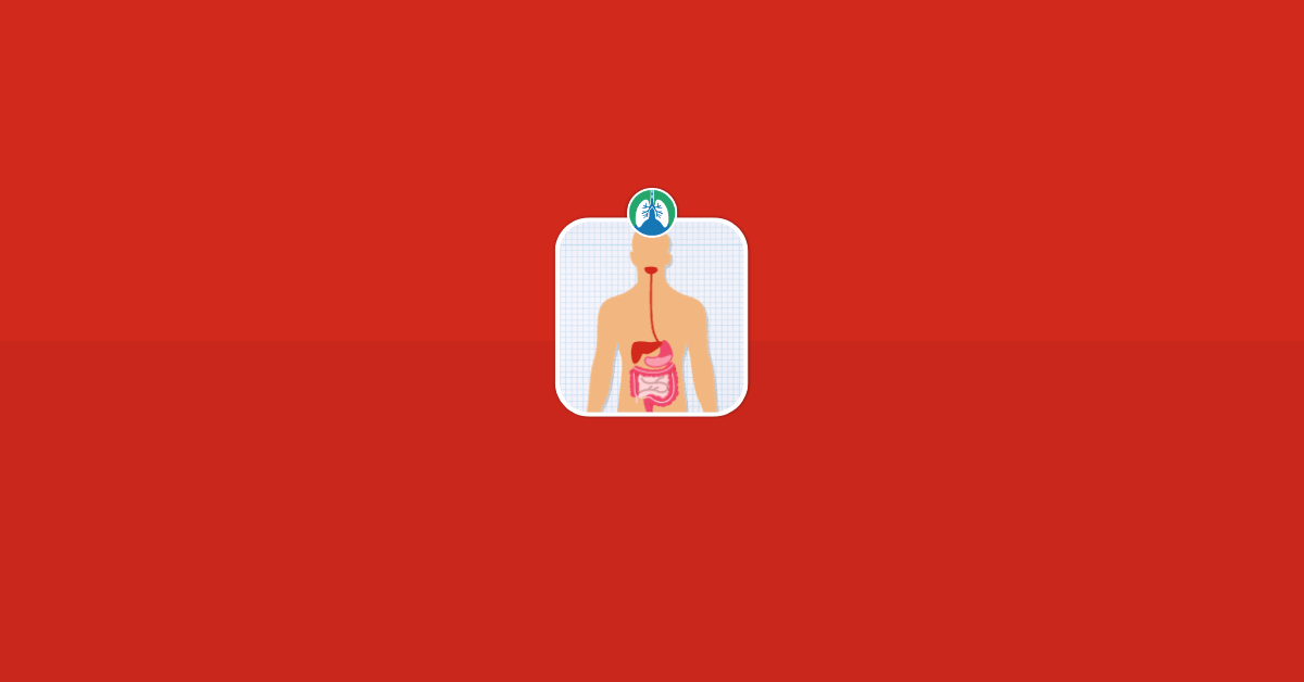 Esophagus Illustration Vector
