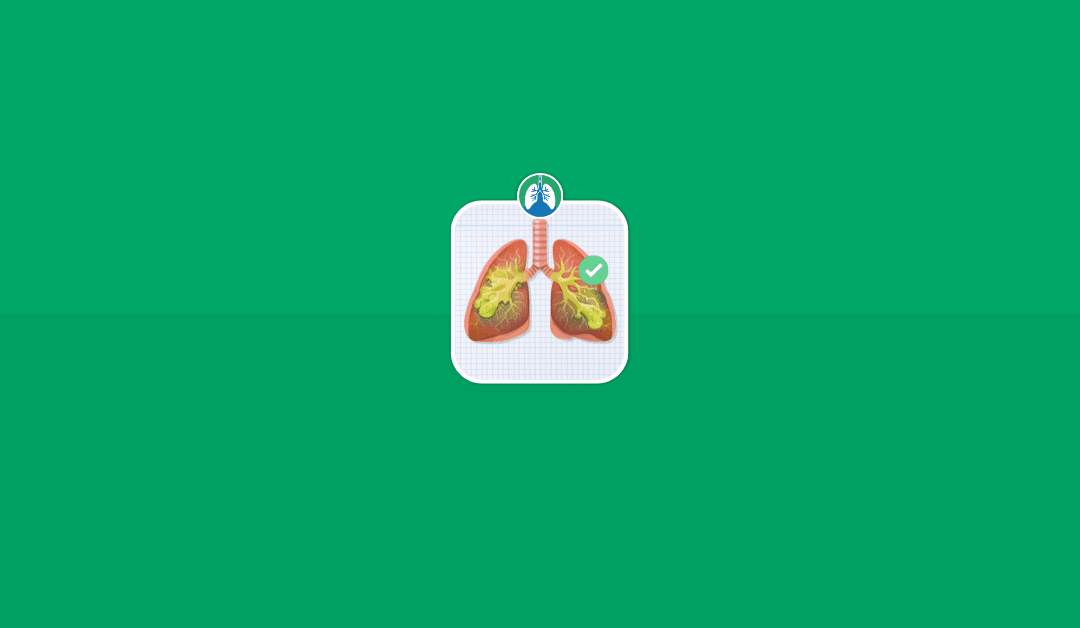 Anti-Mucus Diet: What Foods Kill Mucus? (2026)