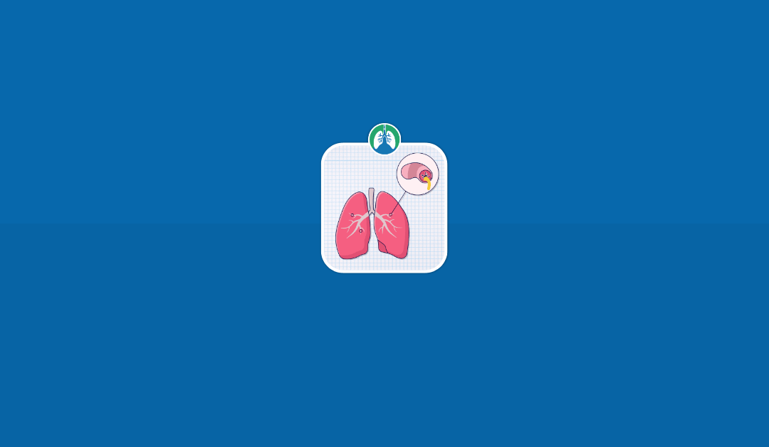 Chronic Bronchitis in Respiratory Care: A Clinical Overview