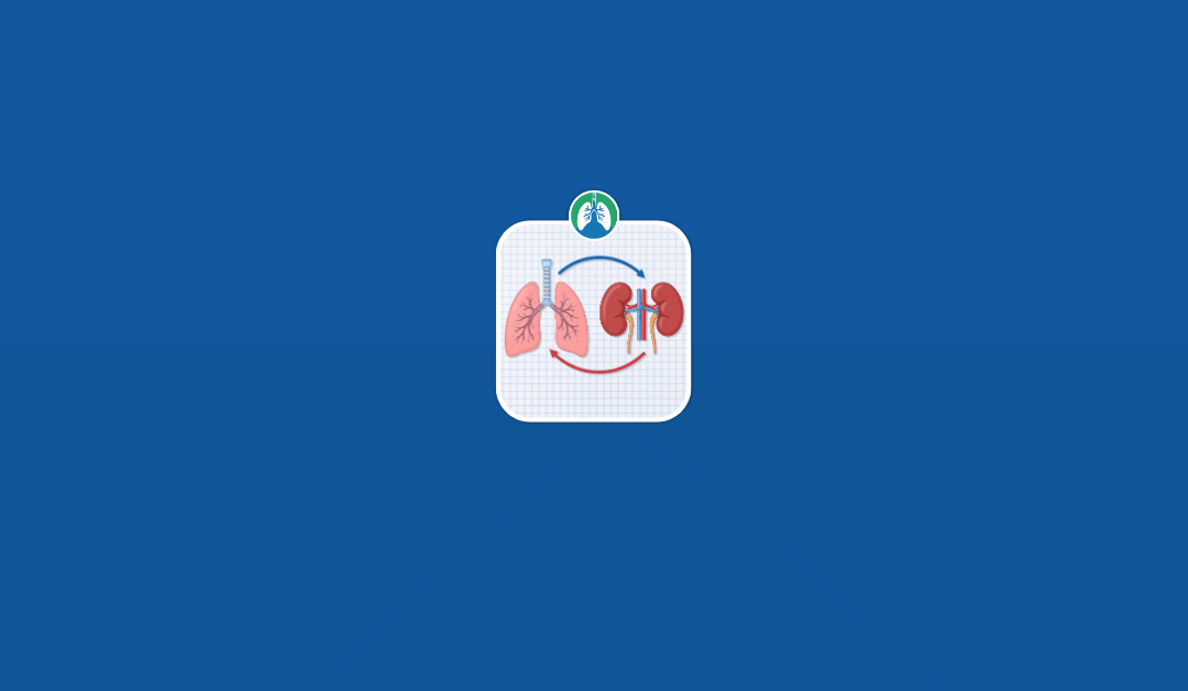 Renal Function in Respiratory Care and Acid-Base Balance